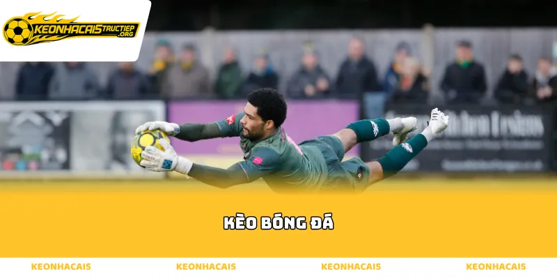 Phương pháp phân tích kèo bóng đá theo biến động thị trường